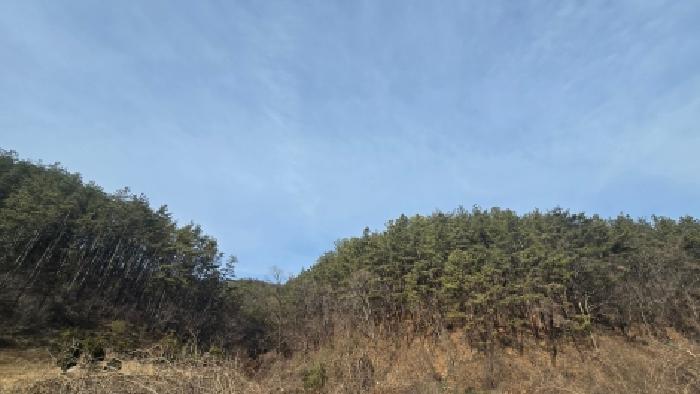 울산 울주군 두동면 임야 경매 물건 사진
