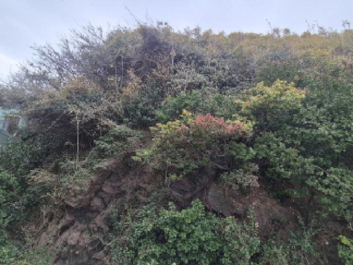 울산 북구 정자동 대지 경매 물건 사진 2 · 2025타경13105
