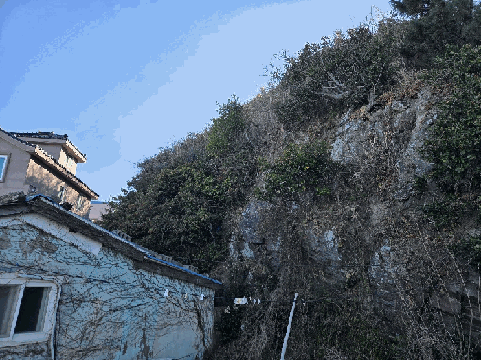 울산 북구 정자동 대지 경매 물건 사진 3 · 2025타경13105
