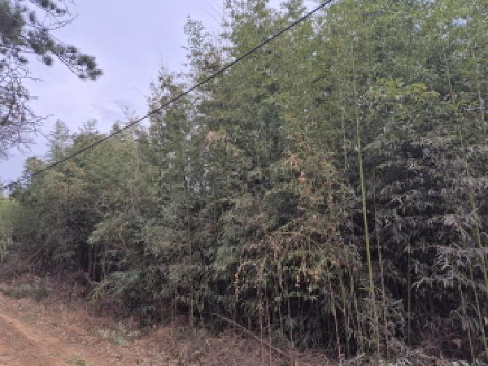 울산 북구 연암동 대지,임야,전답 경매 물건 사진
