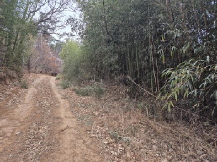 울산 북구 연암동 대지,임야,전답 경매 물건 사진 2 · 2025타경13148