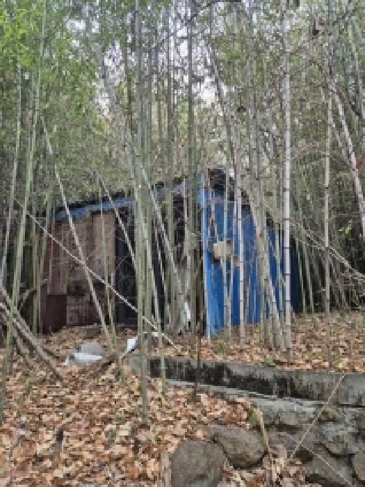 울산 북구 연암동 대지,임야,전답 경매 물건 사진 6 · 2025타경13148