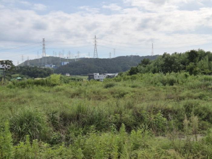 울산 울주군 서생면 임야 경매 물건 사진 2 · 2025타경1322