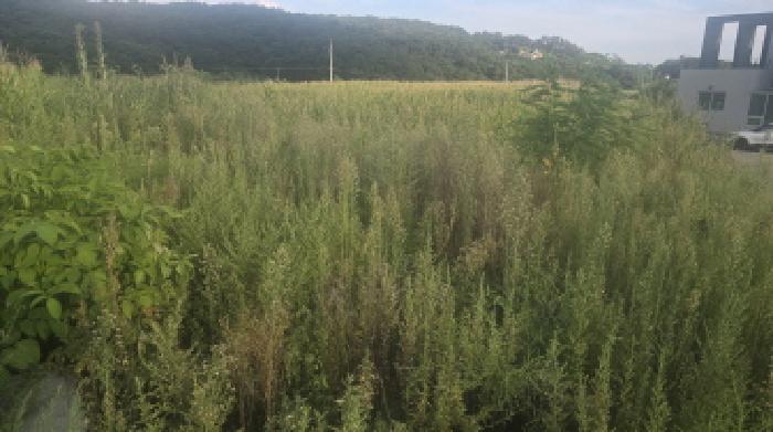 울산 울주군 상북면 전답 경매 물건 사진