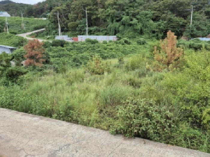 울산 울주군 온양읍 전답 경매 물건 사진 6 · 2025타경1332