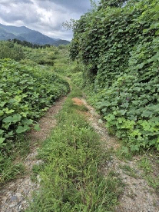 울산 울주군 온양읍 답 경매 물건 사진 3 · 2025타경1333