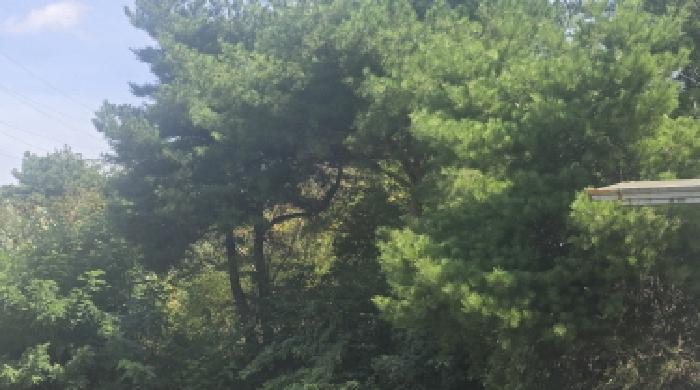경남 양산시 명동 임야 경매 물건 사진