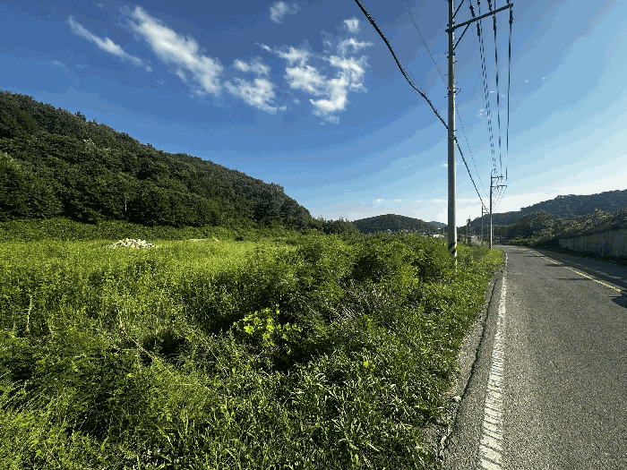 울산 울주군 두서면 답 경매 물건 사진 5 · 2025타경1339