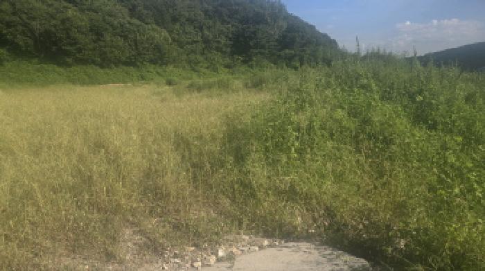 울산 울주군 두서면 답 경매 물건 사진