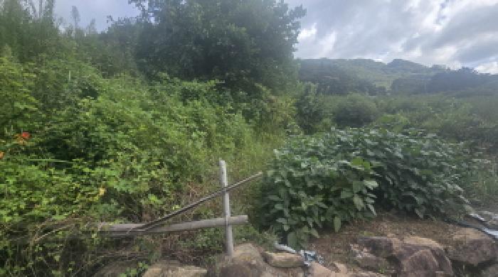 경남 양산시 원동면 전답 경매 물건 사진