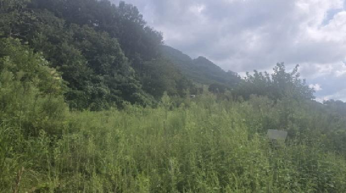 경남 양산시 원동면 전답 경매 물건 사진 2 · 2025타경1364