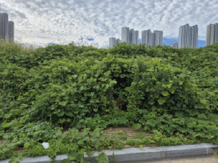 울산 북구 산하동 대지 경매 물건 사진 3 · 2025타경1370