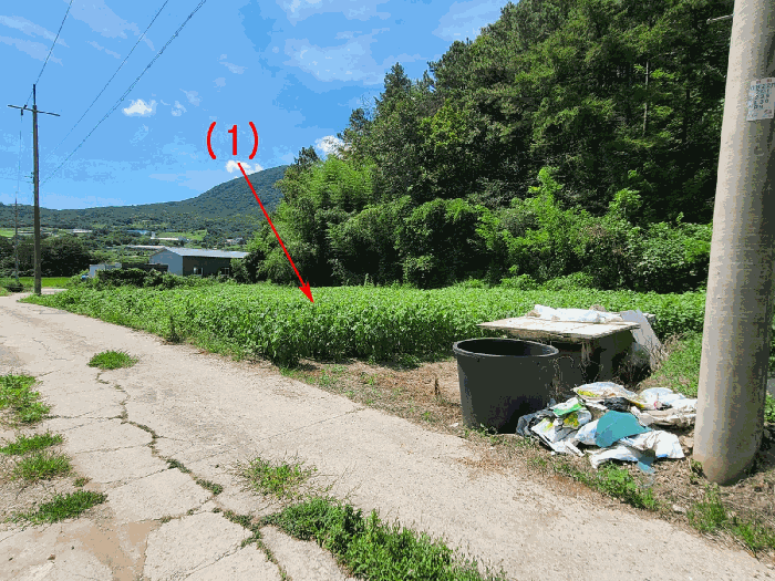울산 울주군 두서면 전답 경매 물건 사진 6 · 2025타경1372