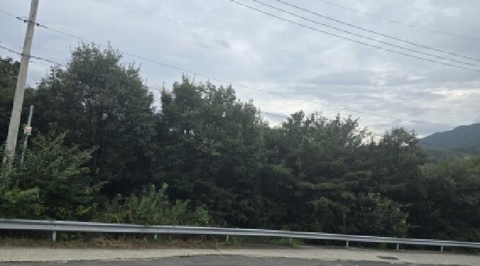 경남 양산시 상북면 임야 경매 물건 사진 2 · 2025타경1373