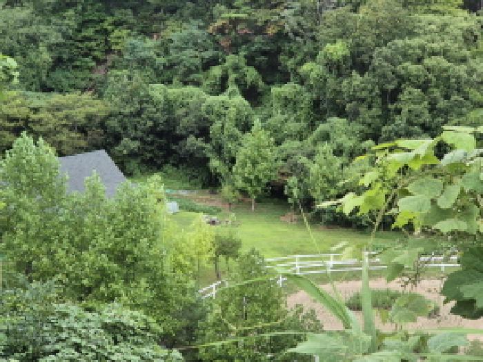 울산 북구 신현동 답 경매 물건 사진