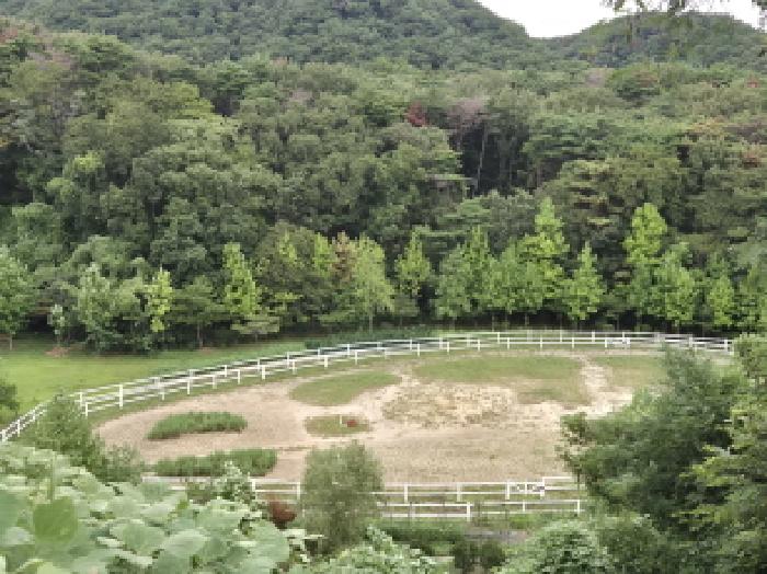 울산 북구 신현동 답 경매 물건 사진 5 · 2025타경1375