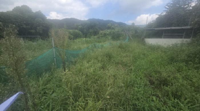 경남 양산시 상북면 과수원 경매 물건 사진 2 · 2025타경1376