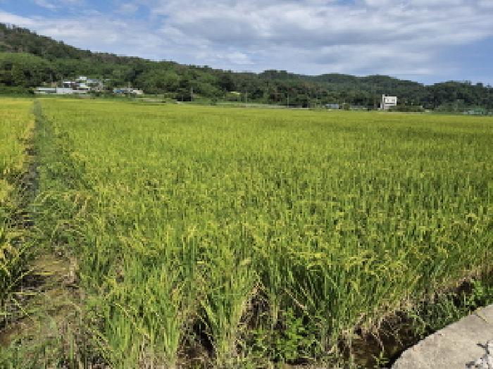 울산 울주군 온양읍 답 경매 물건 사진