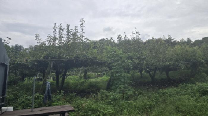 울산 울주군 두서면 대지,임야,전답 경매 물건 사진