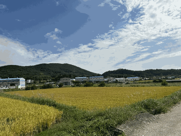 울산 울주군 웅촌면 전답 경매 물건 사진 4 · 2025타경1428