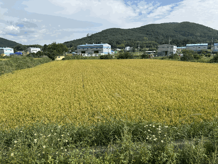 울산 울주군 웅촌면 전답 경매 물건 사진 6 · 2025타경1428
