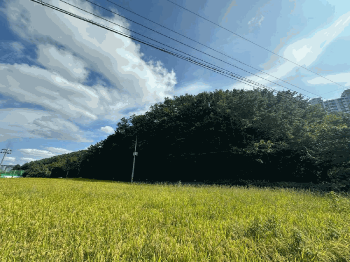 울산 울주군 범서읍 임야 경매 물건 사진 6 · 2025타경1441