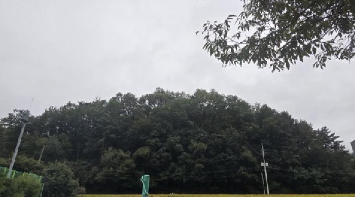 울산 울주군 범서읍 임야 경매 물건 사진
