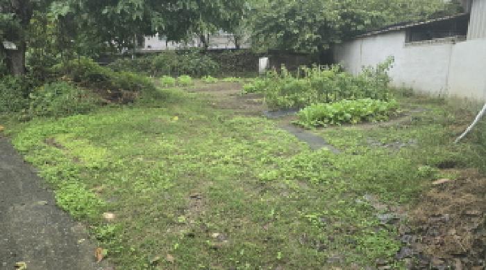 울산 울주군 언양읍 대지 경매 물건 사진