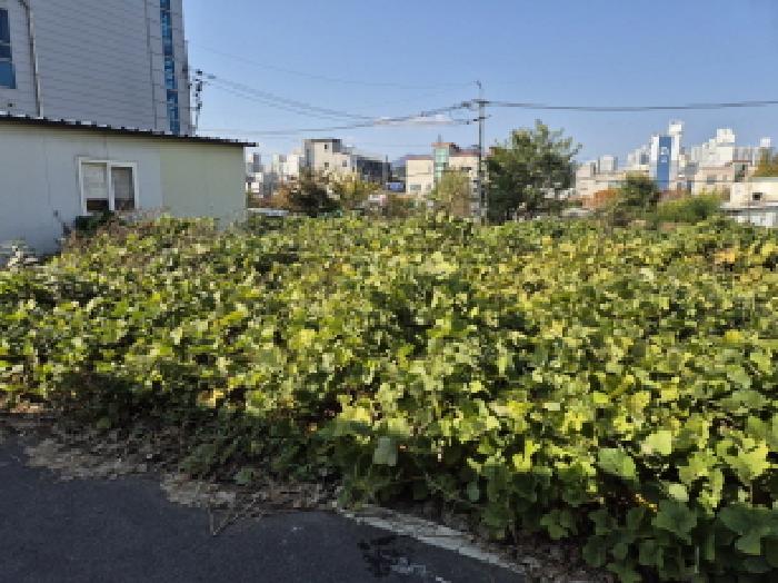울산 울주군 온양읍 과수원 경매 물건 사진
