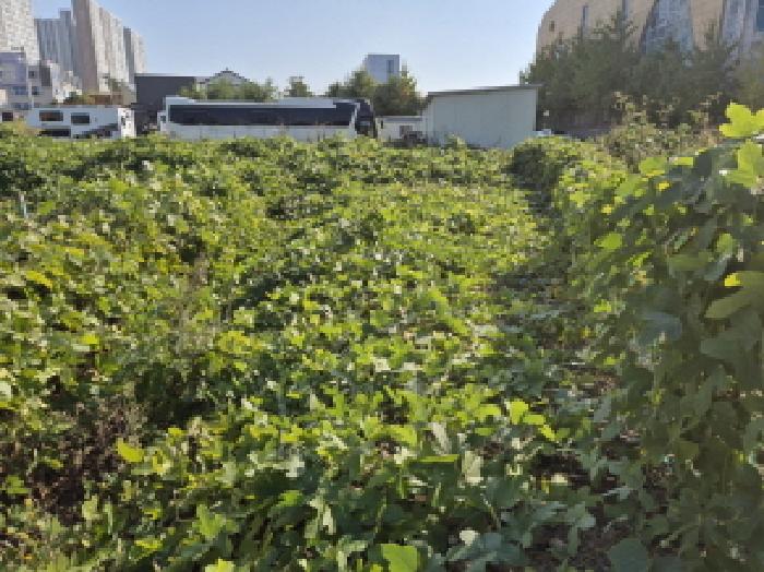 울산 울주군 온양읍 과수원 경매 물건 사진 2 · 2025타경1506