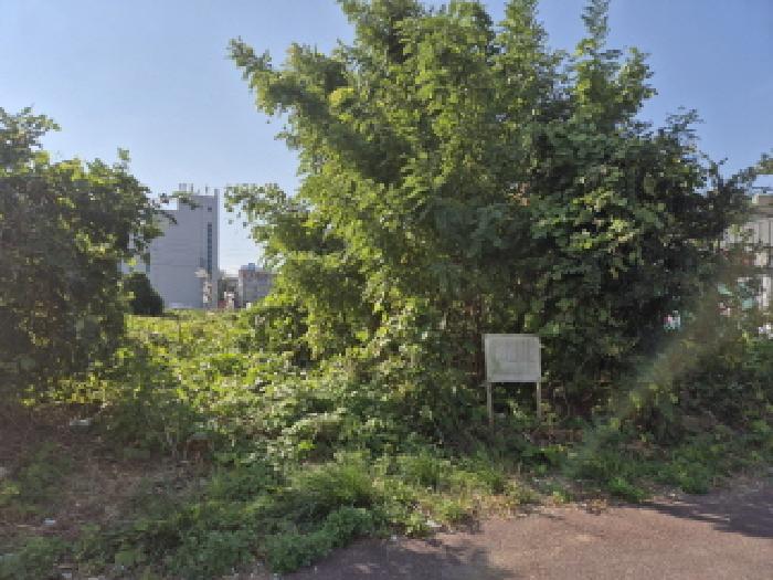 울산 울주군 온양읍 과수원 경매 물건 사진 5 · 2025타경1506