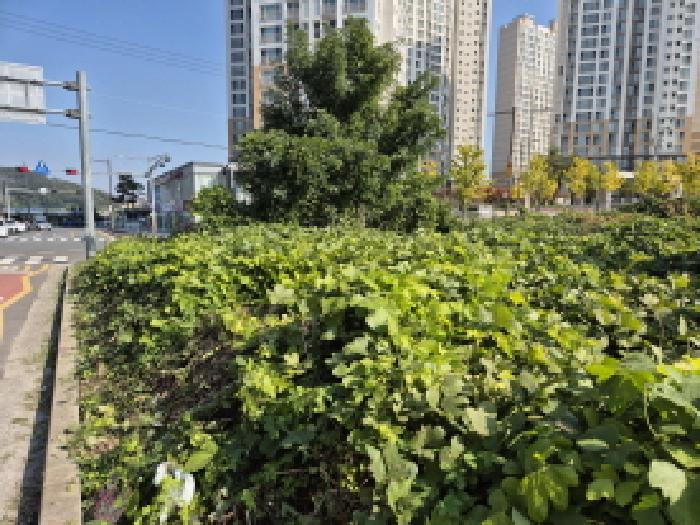 울산 울주군 온양읍 과수원 경매 물건 사진 6 · 2025타경1506