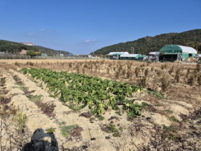 울산 북구 신현동 답 경매 물건 사진 2 · 2025타경1507