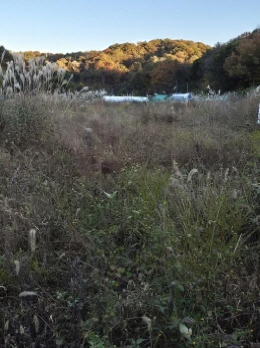 울산 북구 가대동 전답 경매 물건 사진 3 · 2025타경1508