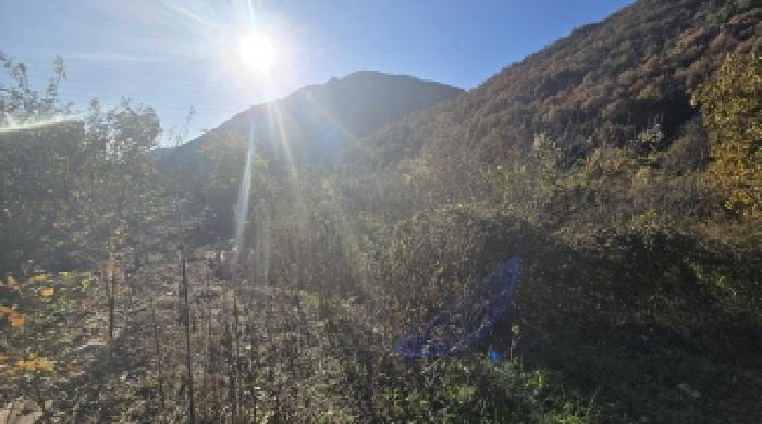 경남 양산시 원동면 전답 경매 물건 사진