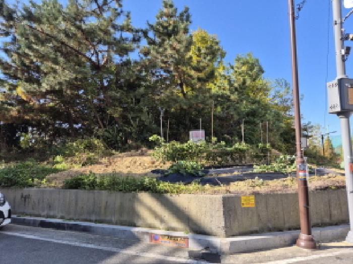 울산 울주군 온산읍 임야 경매 물건 사진
