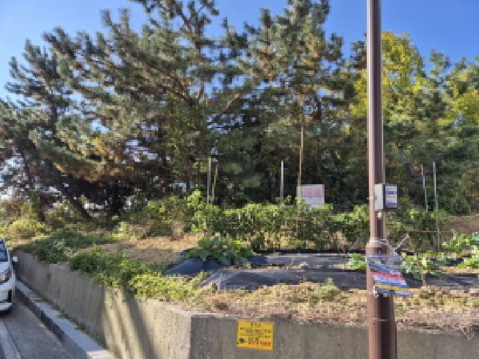 울산 울주군 온산읍 임야 경매 물건 사진 2 · 2025타경1523