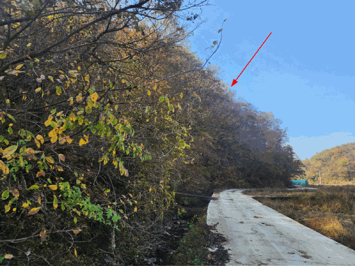 울산 울주군 삼동면 임야 경매 물건 사진 6 · 2025타경1531