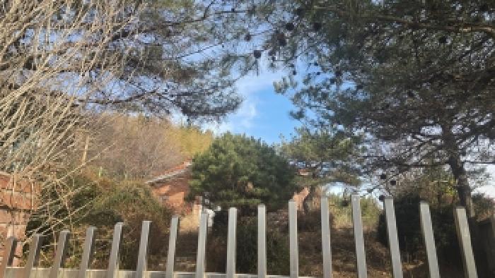 울산 울주군 두서면 단독주택다가구 경매 물건 사진 2 · 2025타경1549