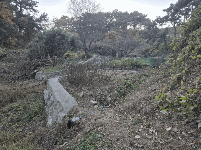 울산 동구 주전동 답 경매 물건 사진 6 · 2025타경1558