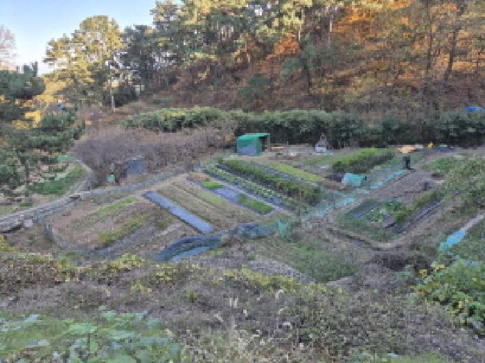 울산 동구 주전동 답 경매 물건 사진 2 · 2025타경1558