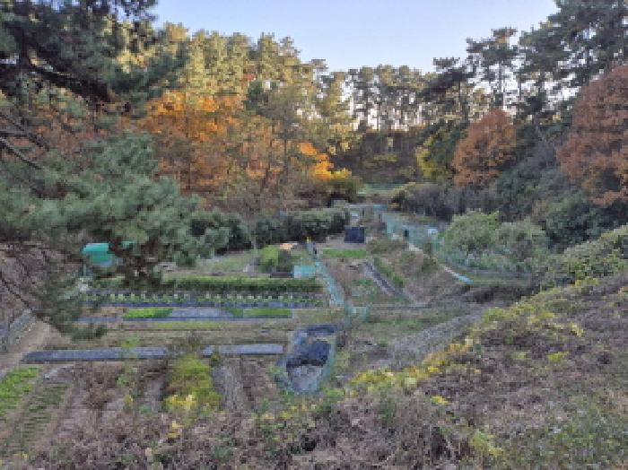 울산 동구 주전동 답 경매 물건 사진 3 · 2025타경1558
