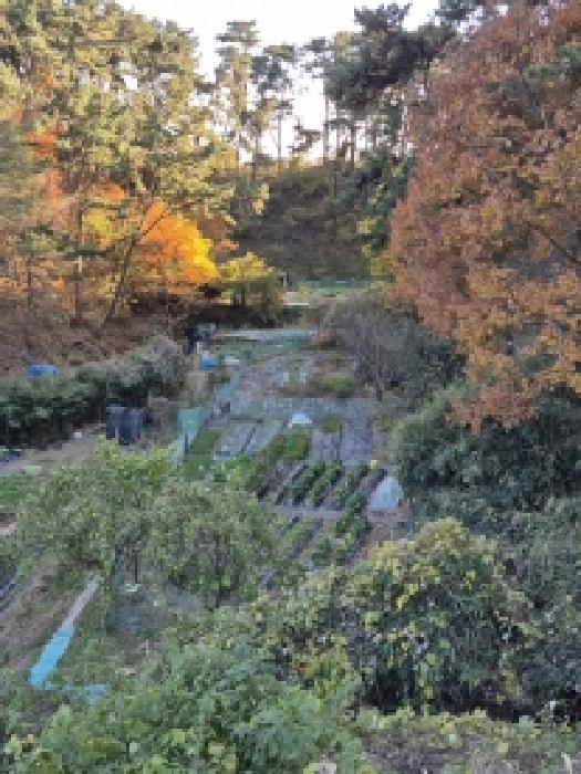 울산 동구 주전동 답 경매 물건 사진 4 · 2025타경1558