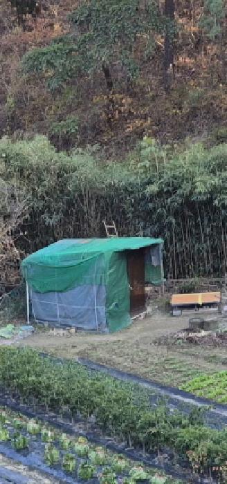 울산 동구 주전동 답 경매 물건 사진 5 · 2025타경1558