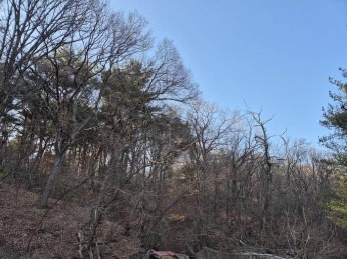울산 남구 신정동 임야 경매 물건 사진