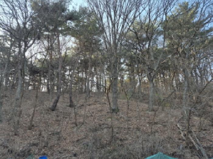 울산 남구 신정동 임야 경매 물건 사진 2 · 2025타경1577
