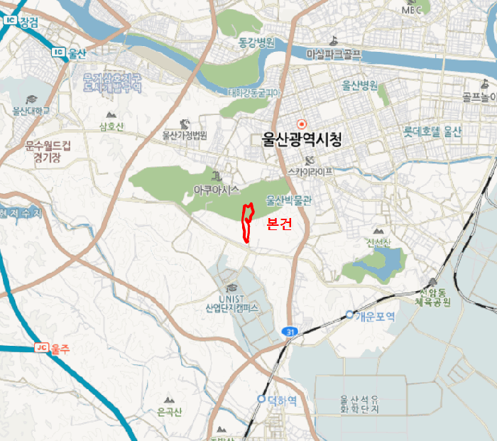 울산 남구 신정동 임야 경매 물건 사진 4 · 2025타경1577