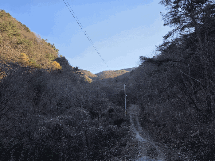 울산 울주군 웅촌면 임야 경매 물건 사진 4 · 2025타경1578