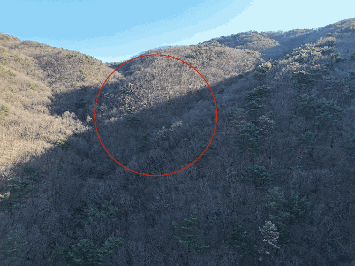 울산 울주군 웅촌면 임야 경매 물건 사진 5 · 2025타경1578