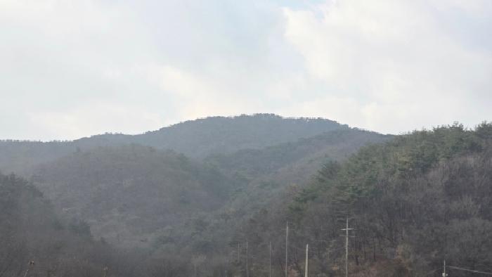 울산 울주군 웅촌면 임야 경매 물건 사진
